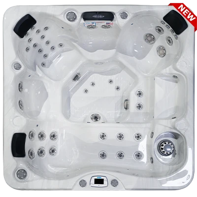 Costa-X EC-749LX hot tubs for sale in Gary