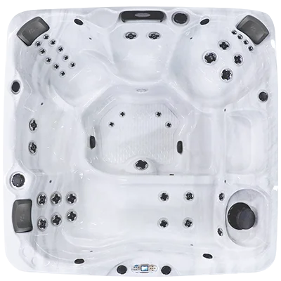 Avalon EC-840L hot tubs for sale in Gary