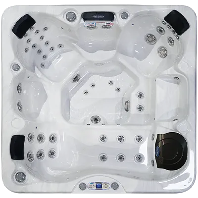 Avalon EC-849L hot tubs for sale in Gary