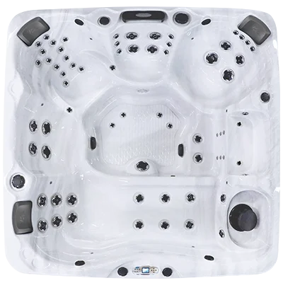 Avalon EC-867L hot tubs for sale in Gary